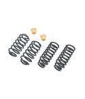 BELLTECH LOWERING KITS  2002-2009 Chevrolet Trailblazer/Envoy (2WD/4WD) 2" F/3" R drop, 03-06 Chevrolet SSR 1.5" F/2" R drop W/O Shocks